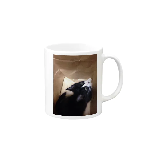 みあげる子猫 Mug