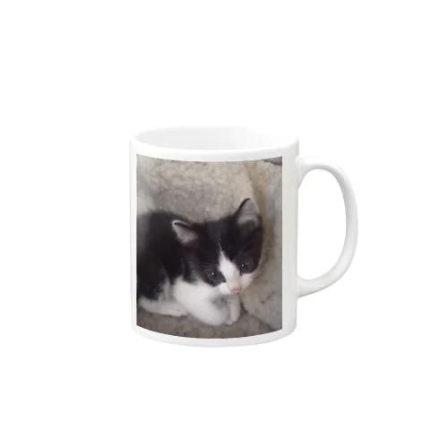 おすまし猫 テールくん Mug
