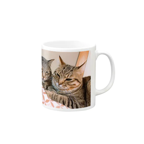 猫のテイルくんとテヤンくん Mug