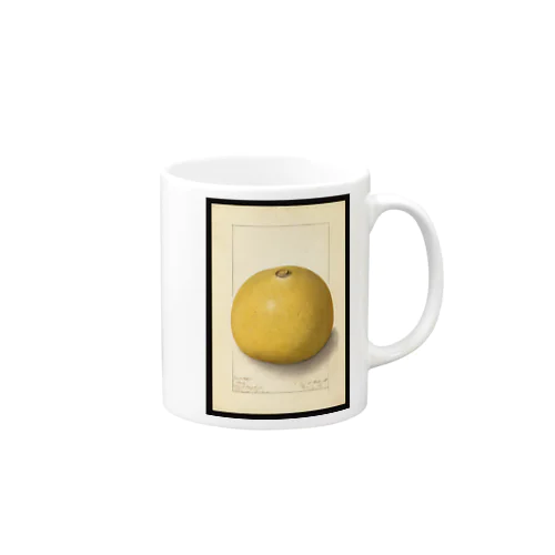 Aegle marmelos  Mug