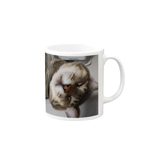 おでぶ猫こころくん Mug