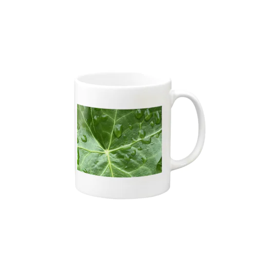 zOOm_Hedera Mug