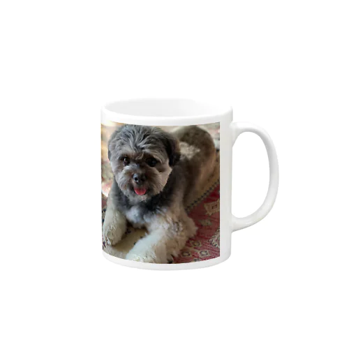 愛犬アンチョビ Mug