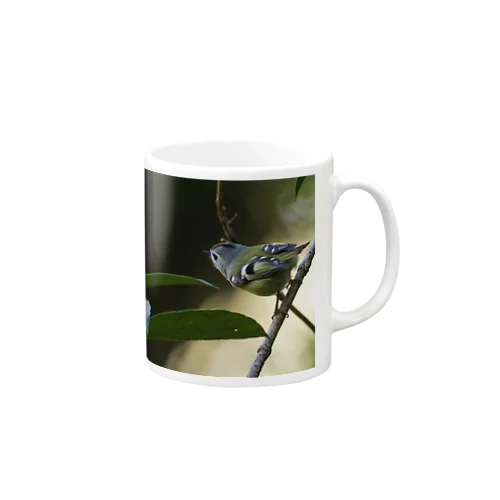 森のキクイタダキさん Mug