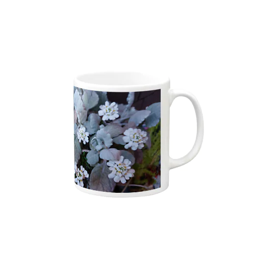 静かに咲く白い花  マグカップ