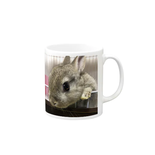 うさぎ🐰キュートグッズ Mug