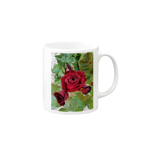 薔薇が咲いた～薔薇が咲いた～真っ赤な薔薇が～♩ Mug