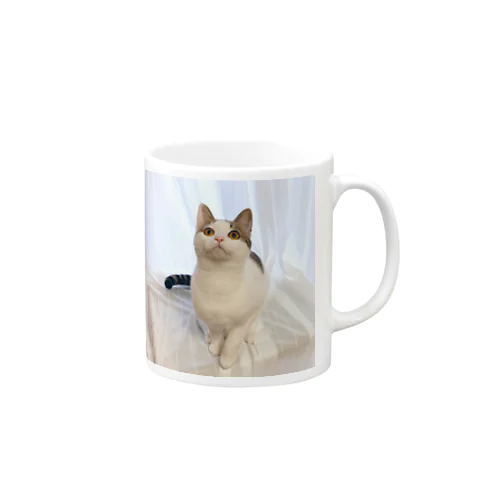 子猫のテオ マグカップ