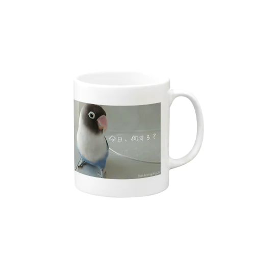 迷いボタンインコの新月さん Mug