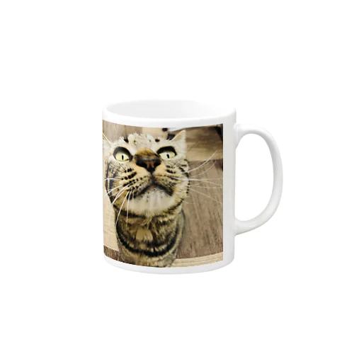 保護猫のこーりん Mug