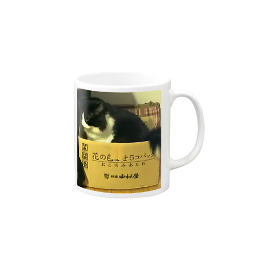 あの人気ハチワレ猫あるあるシリーズ Mug