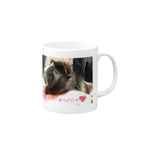 こゆたん Mug