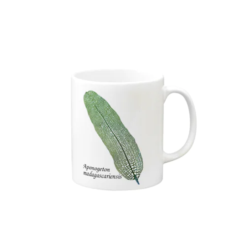 レースプラント Mug