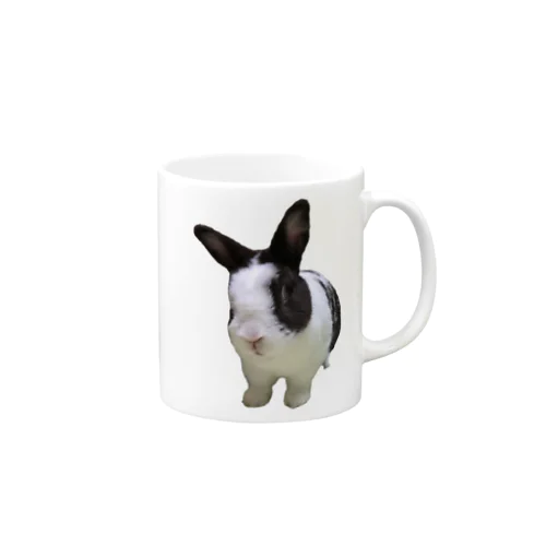 保護うさぎダイちゃんK Mug