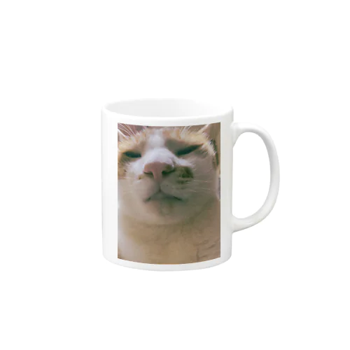 うちのふてぶてしいねこ Mug