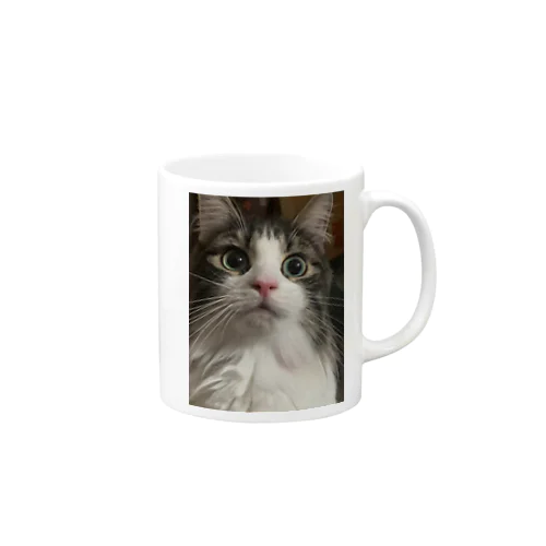 おどろきねこ Mug