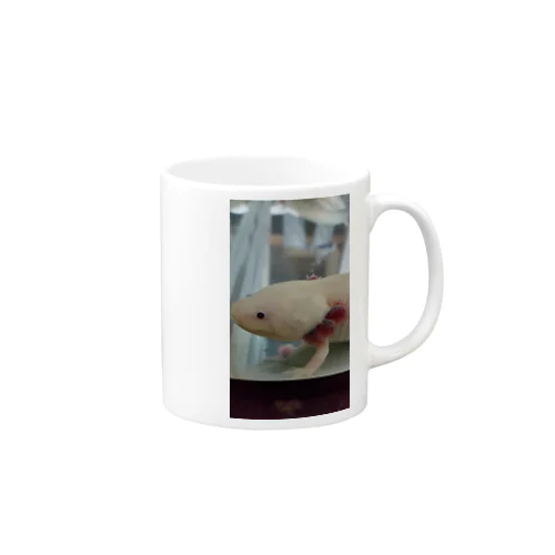 ウーパールーパー　ちび太 Mug