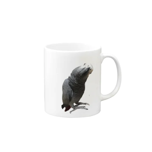 インコ　ヨウム　鳥 Mug