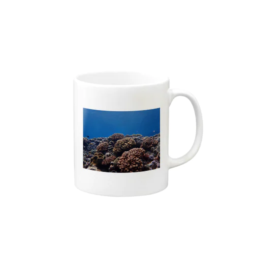 沖縄サンゴ礁 Mug