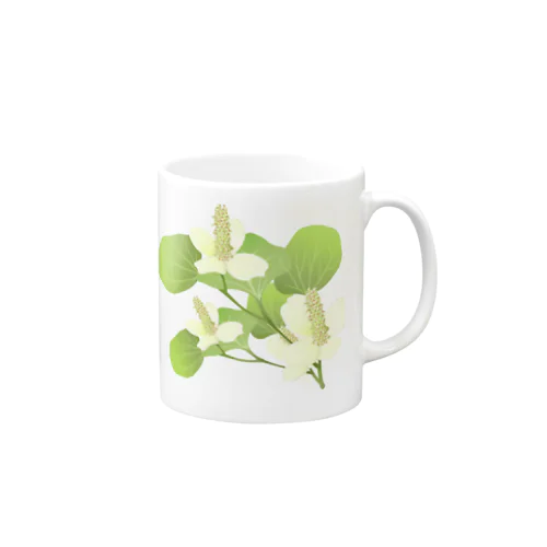 ドクダミの花 Mug