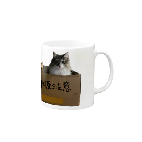 取扱注意猫 マグカップ