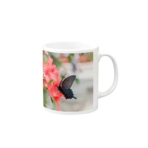 カラスアゲハ Mug