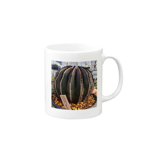 Uebelmannia pectinifera Mug