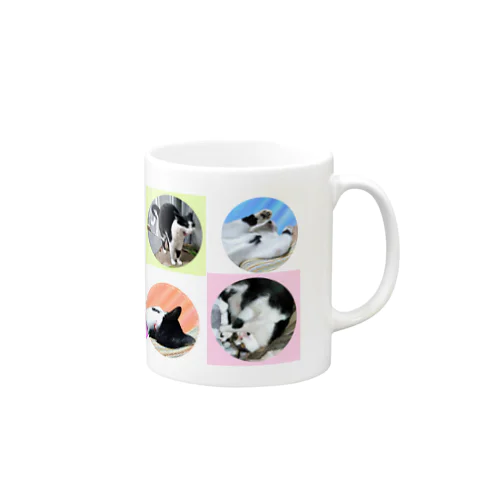 ピノ祭り(成猫) Mug