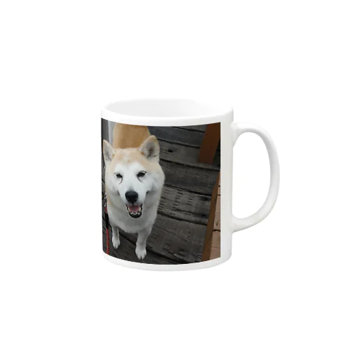 shibainuひめこ Mug