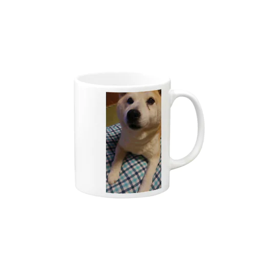 柴犬と青ﾁｪｯｸ Mug