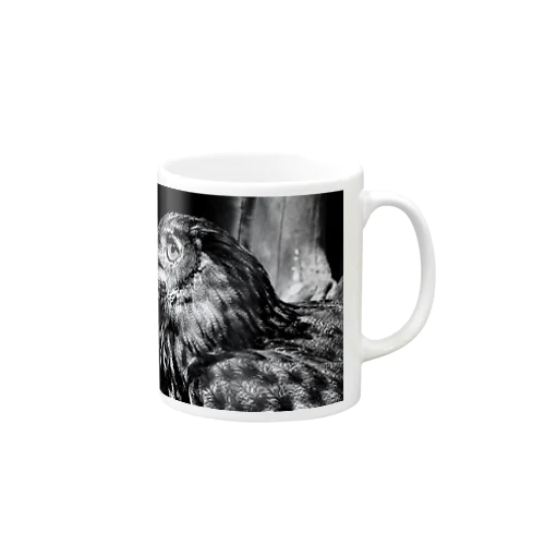 OWL Mug