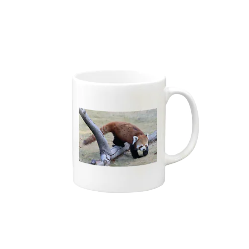 レッサーパンダ Mug