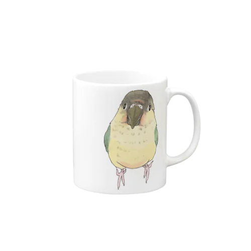 可愛いウロコメキシコインコちゃん【まめるりはことり】 Mug