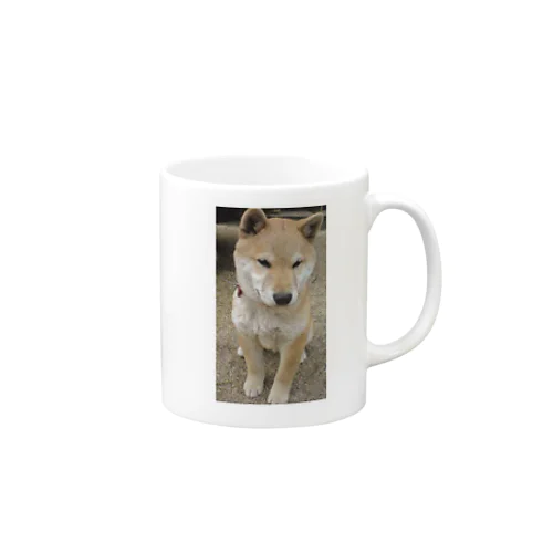 柴犬ライチ③ Mug