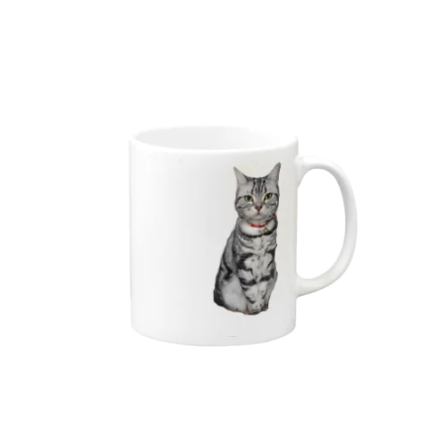 猫のトォーラ Mug