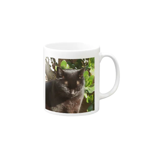 うちのねこ　みぃ Mug