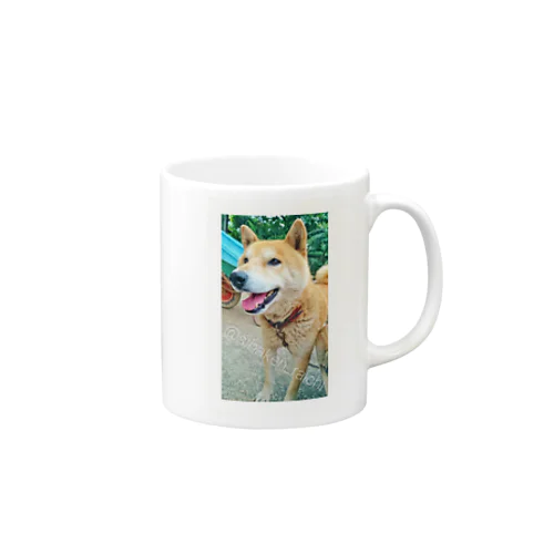 柴犬ライチ⑤ Mug