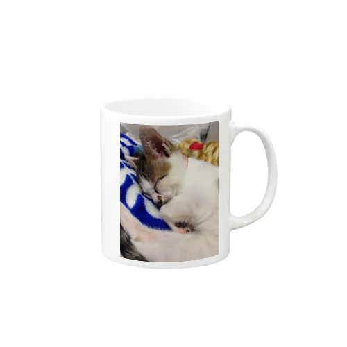 猫 Mug