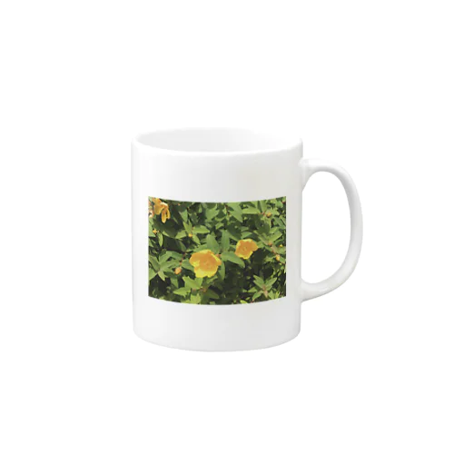 Ha-na Mug