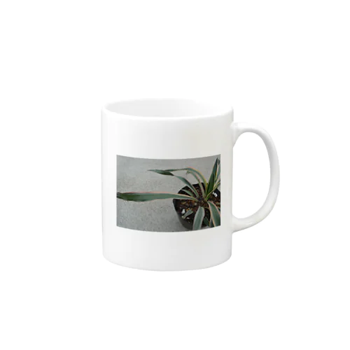 yucca Mug