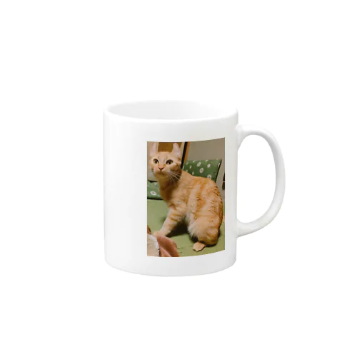 猫のまろんちゃんキーホルダー Mug