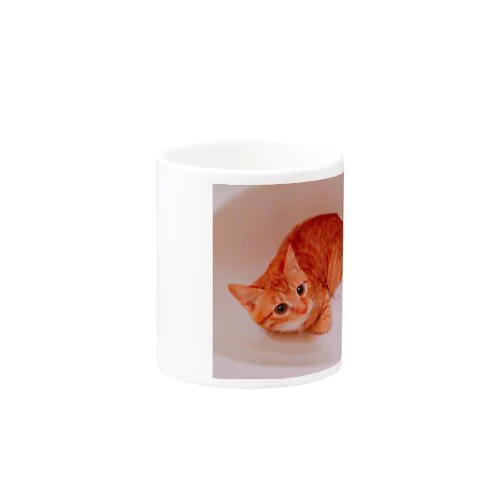 猫 Mug