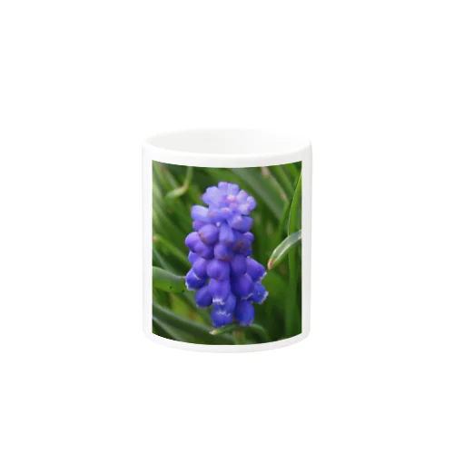 Muscari botryoides(1:1) Mug