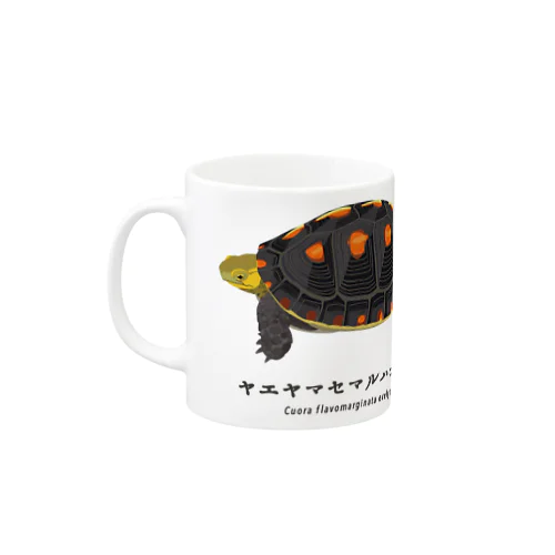 ヤエヤマセマルハコガメ Mug