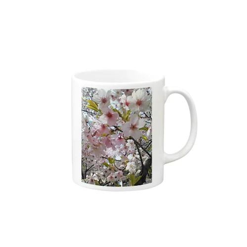 桜前線 Mug