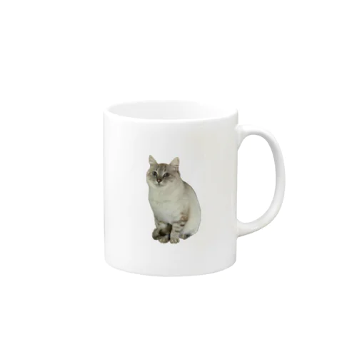 元野良猫しらたま Mug