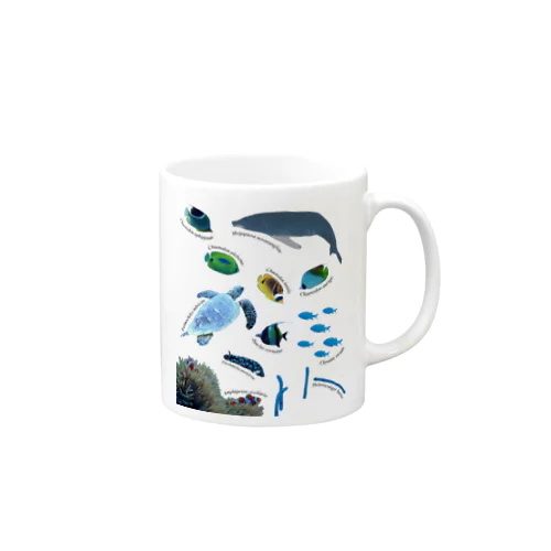 沖縄の海の生き物 Mug