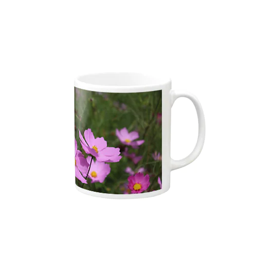 COSMOS Mug