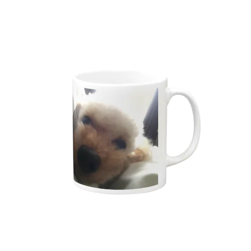 アップが大好きミントさん Mug