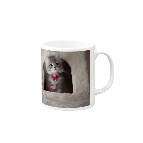 サイベリアンの子猫(ブルータビー) Mug